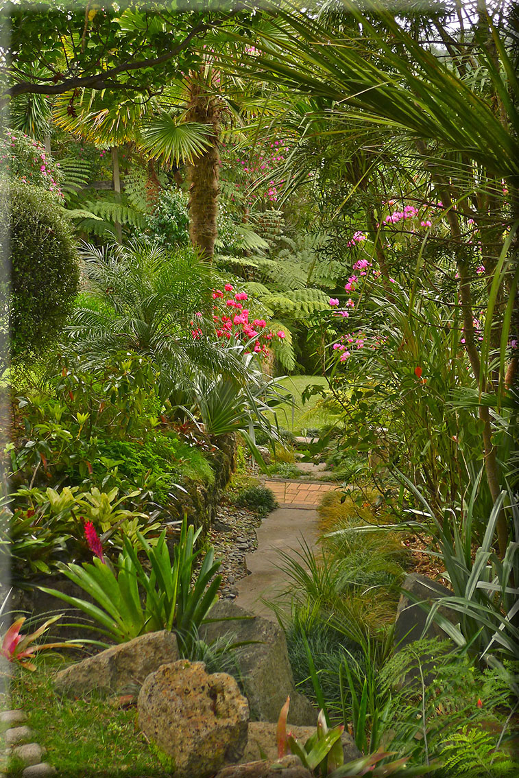 Titirangi garden